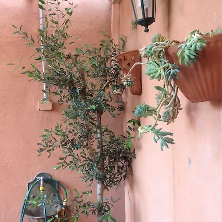 Casa Tommaso Al Vaticano Appartement *